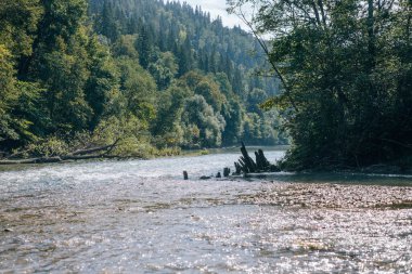 Doğa güzelliği çok güzel