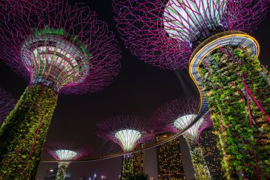 Supertree Grove gece görünümü