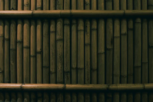Тёмный бамбуковый лес — стоковое фото