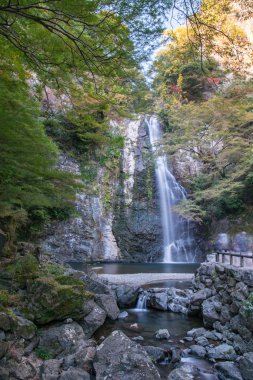 Mino Falls Meiji-no-mori Mino yarı Milli Parkı (Mino şelale) Minoo Park akışı