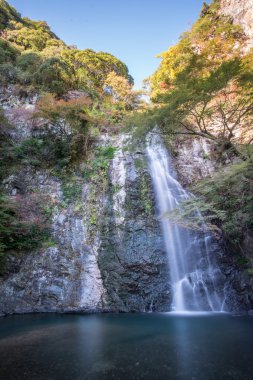Mino Falls Meiji-no-mori Mino yarı Milli Parkı (Mino şelale) Minoo Park akışı