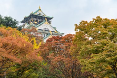 Osaka Kalesi erken sonbahar sezonu