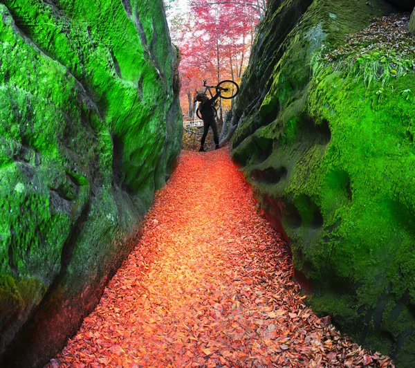 Athlete rises from the valley to the route — Stock Photo, Image