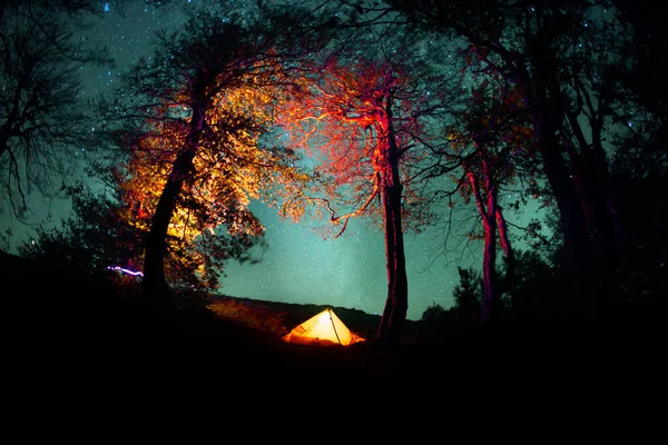 在喀尔巴阡山脉的Borzhava山脊上 有一个古老的山毛榉林 星夜的秋高气爽的群山 对于带着帐篷和篝火露营很有吸引力 — 图库照片