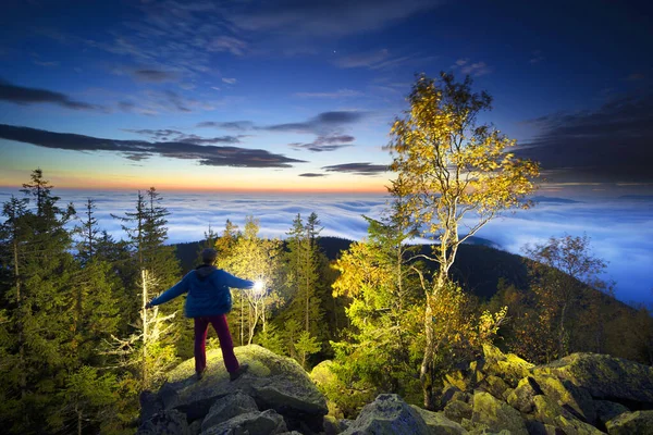 Cima Una Montaña Los Cárpatos Ucrania Abedul Bosque Coníferas Fondo — Foto de Stock