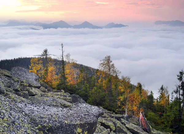 Topo Uma Montanha Nos Cárpatos Ucrânia Bétula Floresta Coníferas Contexto — Fotografia de Stock