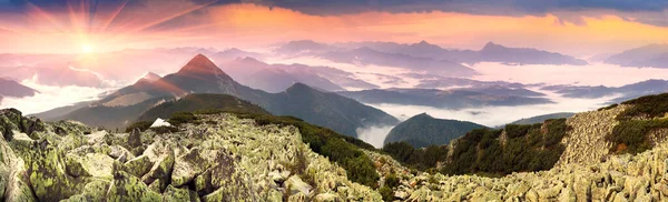 Morgenochtend Regen Met Mist Alpiene Steenwoestenij Van Gorgan Van Karpaten — Stockfoto