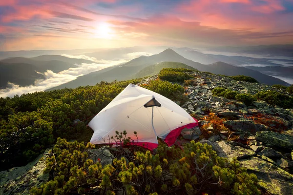 Morning Dawn Rain Fog Alpine Stone Wastelands Gorgan Carpathians Eastern — Stock Photo, Image