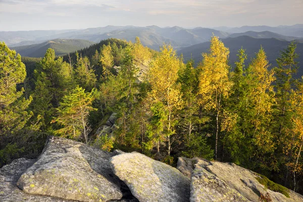 Autumn Rocky Mountains Bright Golden Color Birches Boulders Covered Yellow — Fotografia de Stock