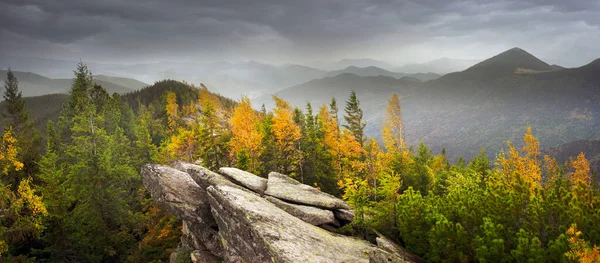 Autumn Rocky Mountains Bright Golden Color Birches Boulders Covered Yellow — Fotografia de Stock