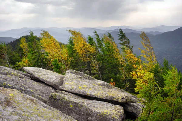 Autumn Rocky Mountains Bright Golden Color Birches Boulders Covered Yellow — Fotografia de Stock