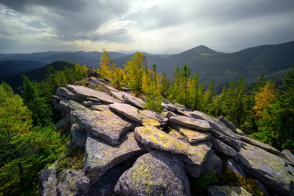 Autumn Rocky Mountains Bright Golden Color Birches Boulders Covered Yellow — Fotografia de Stock