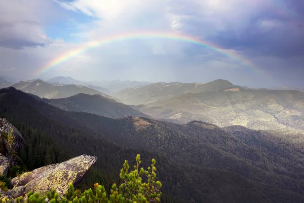 Arco Íris Sobre Montanhas Rochosas Outono Vidoeiro Pitoresco Pinhal Após — Fotografia de Stock