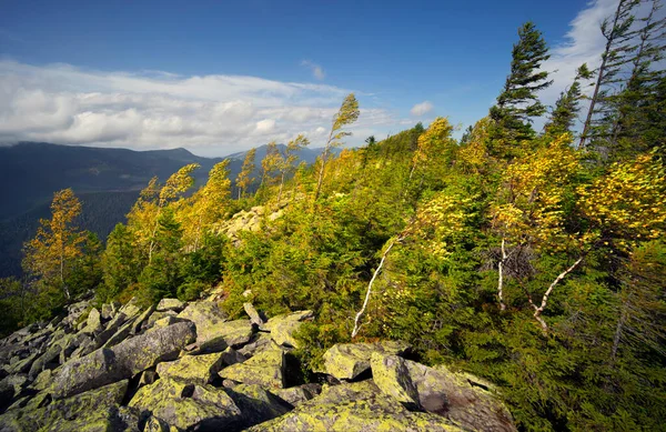 Autumn Rocky Mountains Bright Golden Color Birches Boulders Covered Yellow — Fotografia de Stock