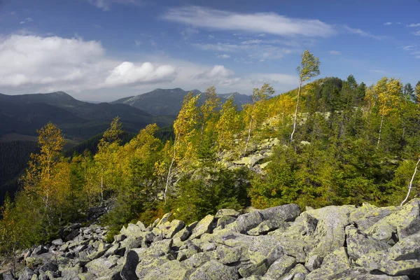 Autumn Rocky Mountains Bright Golden Color Birches Boulders Covered Yellow — Stock fotografie