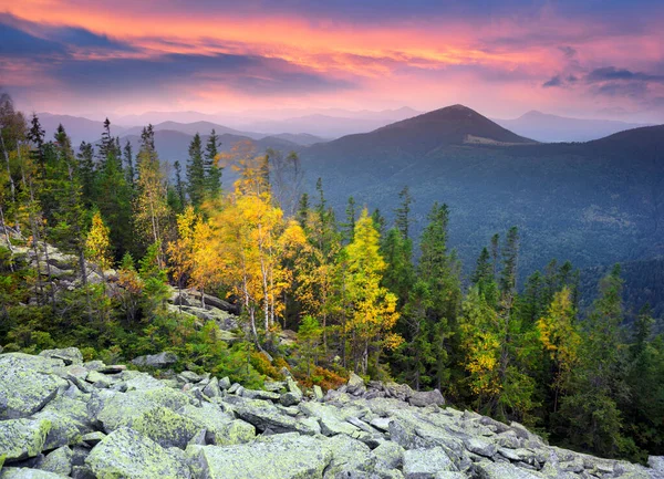 Autumn Rocky Mountains Bright Golden Color Birches Boulders Covered Yellow — Fotografia de Stock