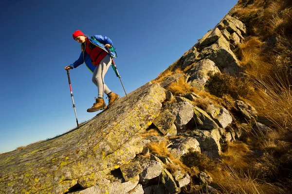 Girl Travels Mountains Rest Wild Nature Carpathians Pleases Gives Vigor — Stock Photo, Image