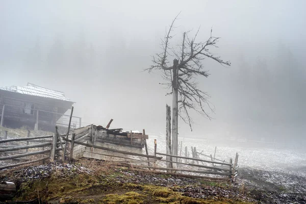 Jesień Wiosna Karpatach Tatrach Bardzo Podobne Świeży Śnieg Mgła Mgła — Zdjęcie stockowe
