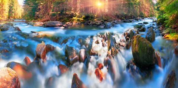 Rivière Lever Soleil Dans Forêt Des Carpates Jet Eau Rapide — Photo