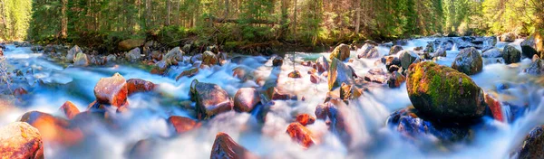 Río Amanecer Bosque Los Cárpatos Chorro Rápido Agua Velocidades Obturación — Foto de Stock