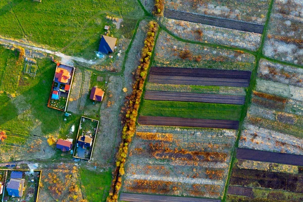 Dron Ranní Pohled Jarní Pole Rolníků Kde Kvetou Třešně Švestky — Stock fotografie