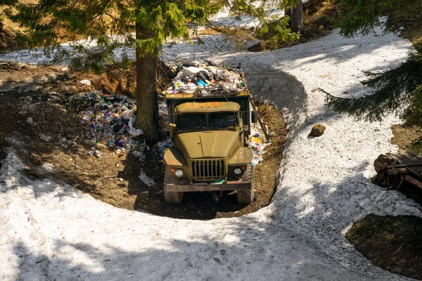 Primavera Sul Monte Dragobrat Ucraina Dove Famosa Località Sciistica Ucraina — Foto Stock