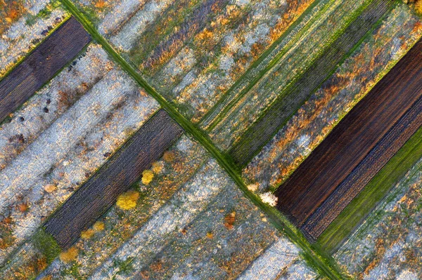 Drone Uma Visão Olho Pássaro Manhã Adiantada Dos Campos Mola — Fotografia de Stock