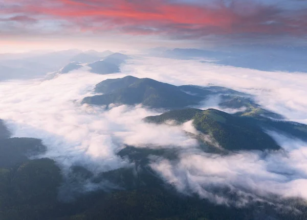 Ucrania Cárpatos Picos Rocosos Gorgan Khomyak Synyak Entre Bosques Silvestres —  Fotos de Stock