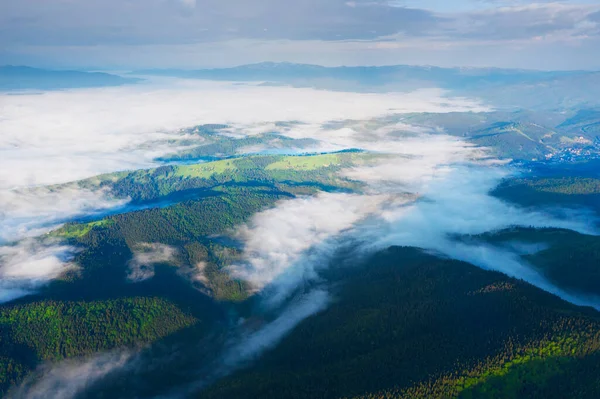 Ucrania Cárpatos Picos Rocosos Gorgan Khomyak Synyak Entre Bosques Silvestres —  Fotos de Stock