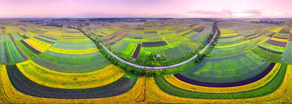 Σφαιρικό Πανόραμα 360 Ανατολική Ευρώπη Ουκρανία Ριγέ Αγροκτήματα Κοντά Στην — Φωτογραφία Αρχείου
