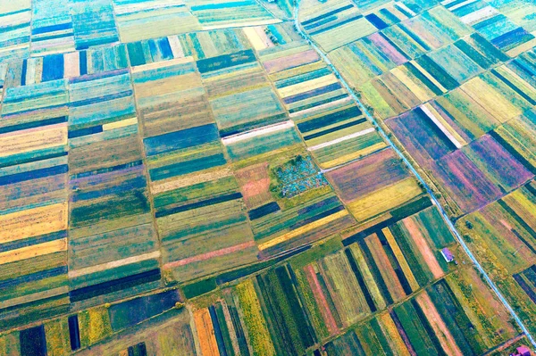 Oost Europa Oekraïne Gestreepte Akkers Buurt Van Oude Stad Galich — Stockfoto