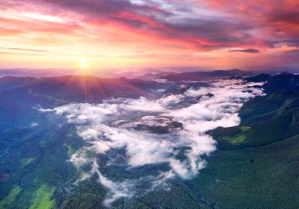 Mist Ochtend Karpaten Drone Vliegt Toppen Regen Chornohora Bergkam Een — Stockfoto