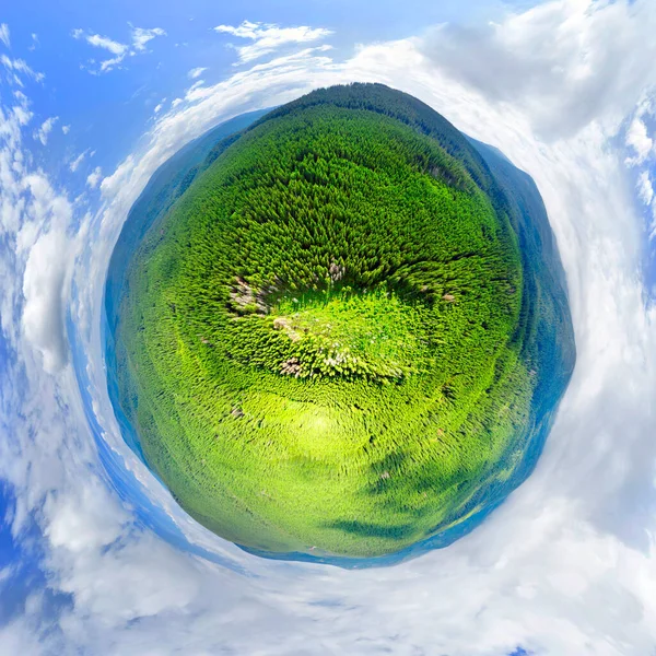 Dron Létá Nad Lesem Karpat Ukrajina Oblast Kácela Kde Tornádo — Stock fotografie