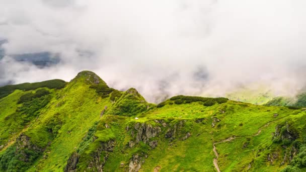 Ukraina Carpathians Puncak Berbatu Gorgan Khomyak Dan Synyak Antara Hutan — Stok Video