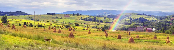 Haystacks in Carpathian mountains — Stock Photo, Image