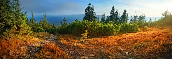 Almherbst im Schnee — Stockfoto