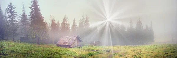 Shepherd hut in misty forest — Stock Photo, Image