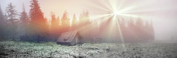 牧羊人在雾气弥漫的森林小屋 — 图库照片