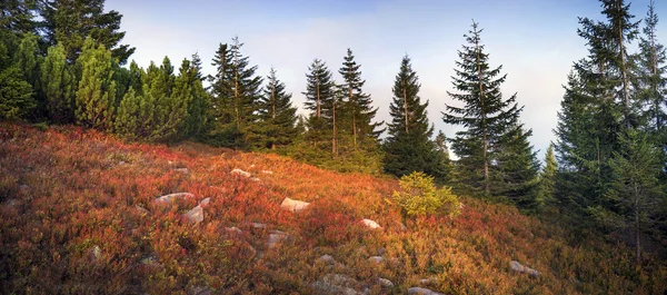 Herbst in den Karpaten — Stockfoto