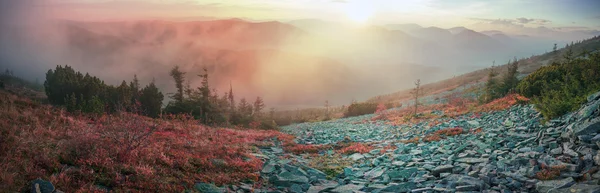 Autumn in carpathian mountains — Stock Photo, Image