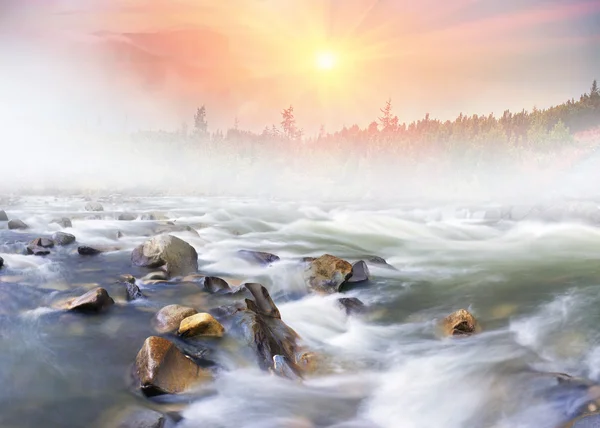 Řeka v Karpatských horách při východu slunce — Stock fotografie