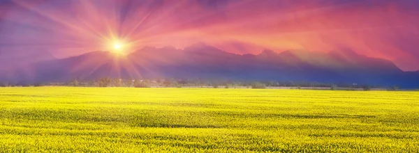 Alpengipfel bei Sonnenuntergang — Stockfoto