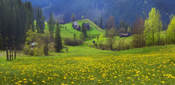 Casas rurales en los Cárpatos, como el pueblo en los Alpes — Foto de Stock