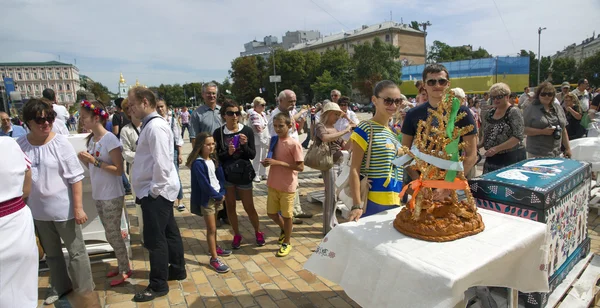 Självständighetsdagen i Kiev — Stockfoto