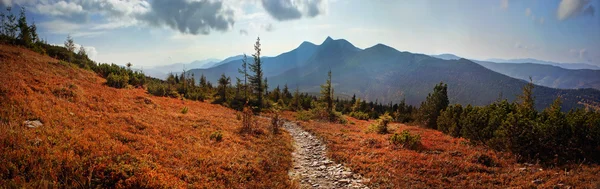 Almherbst im Schnee — Stockfoto