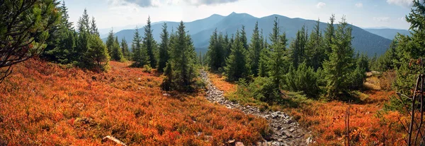 Otoño alpino en Gorgany —  Fotos de Stock