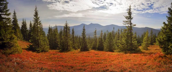 Almherbst im Schnee — Stockfoto