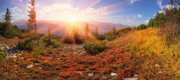 Alpine autumn in Gorgany — Stock Photo, Image