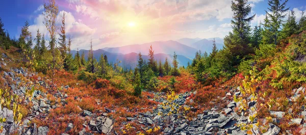 Outono alpino em Gorgany — Fotografia de Stock