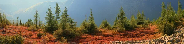 Herbst in den Karpaten — Stockfoto